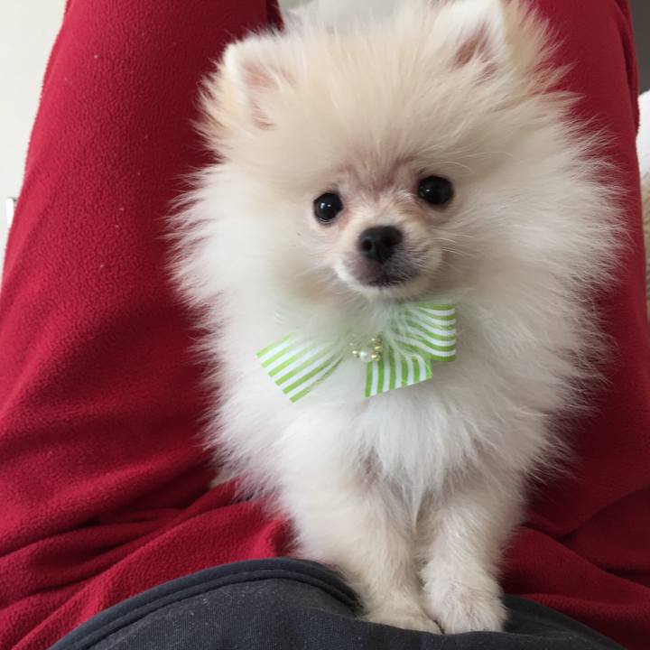 40285179 d88d 4129 829c fffe341096dd