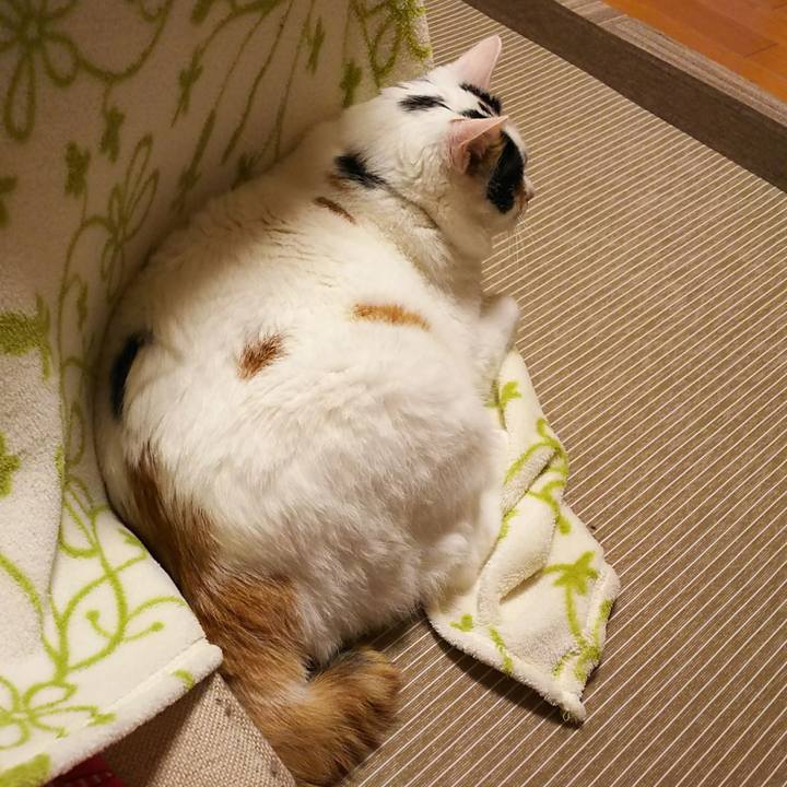 402876e8 b465 4e94 98f9 b71eb0a2cedd