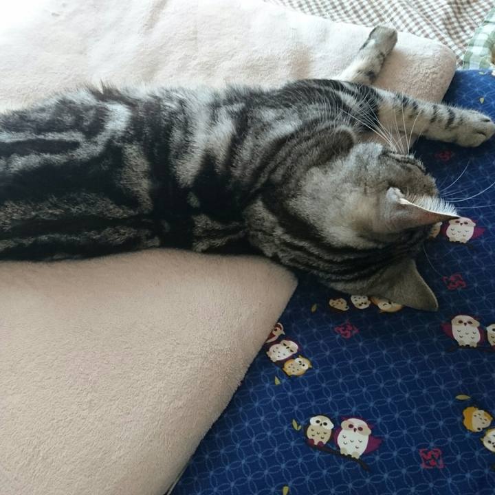 4028f8ca 5871 47de ae07 90df49b0b1d7