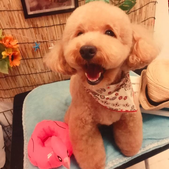 40295ad7 5269 4286 8ecc 3616b02c96fc