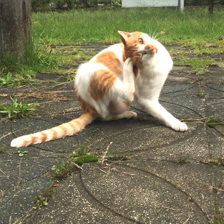 40296b25 bf51 4b91 9021 571c193d2ba2