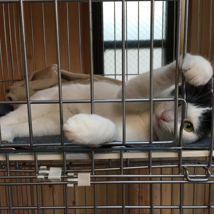 402abec0 0b59 447b a33a 234b464fe2bf