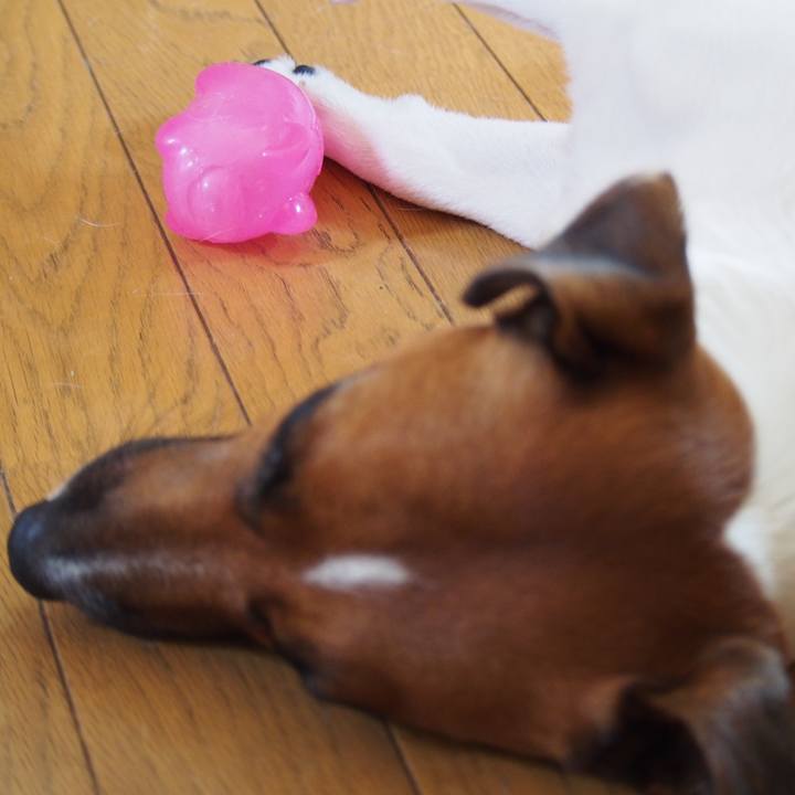 402b697f dedf 4275 80a9 e0ff7a6f4fa9