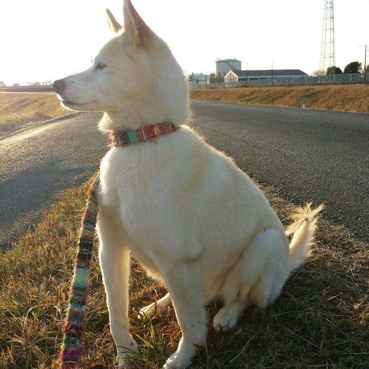 402bbe46 3b25 47fc 8370 2047124b8373