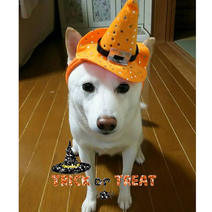 402bd792 58fb 45be a06b 486aa7426c58