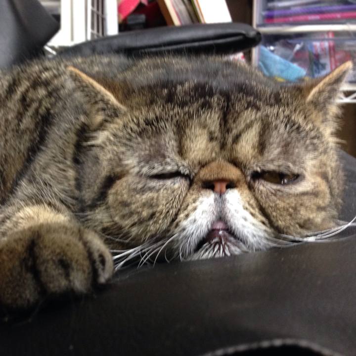 402bf103 3401 45a8 850f 6015e3fde508