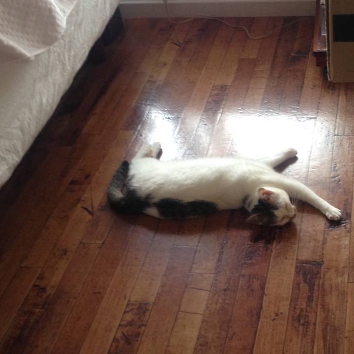 402c9fe5 1d1d 481c b615 aaff53c5d394