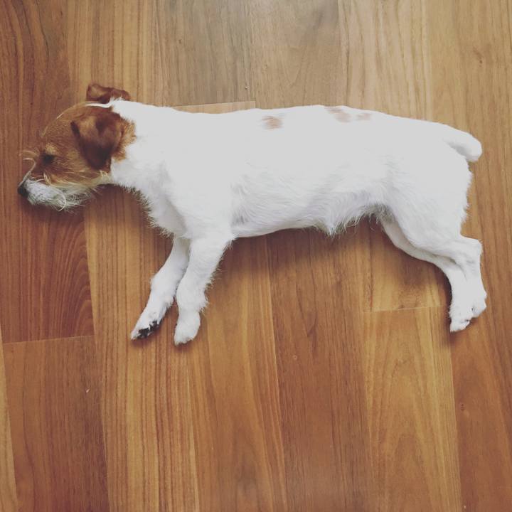 402cb9be 4a39 4ef2 8f15 5f34229728c9