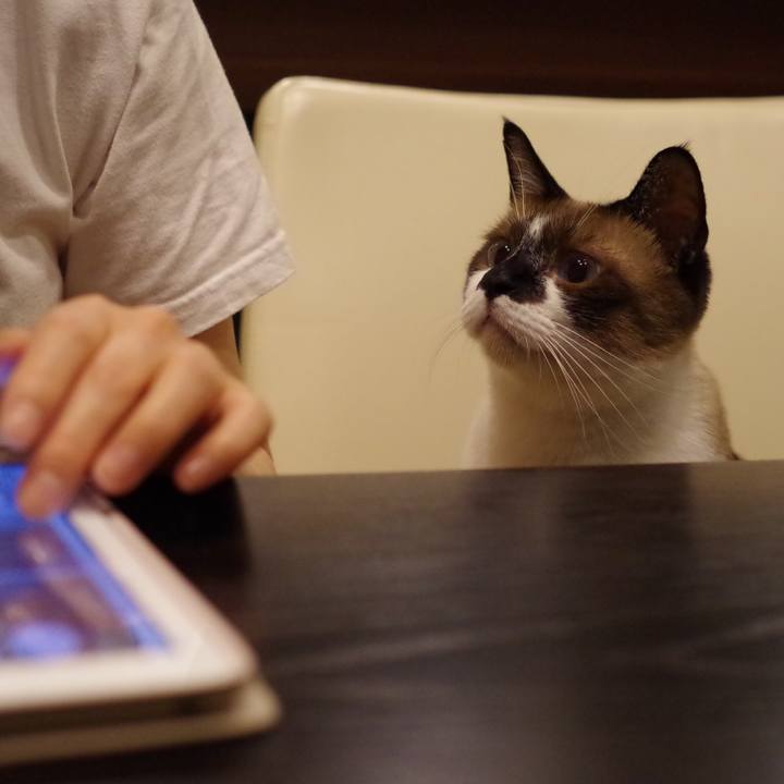 402ce8da 3724 4593 bf3d 08450a1936f4