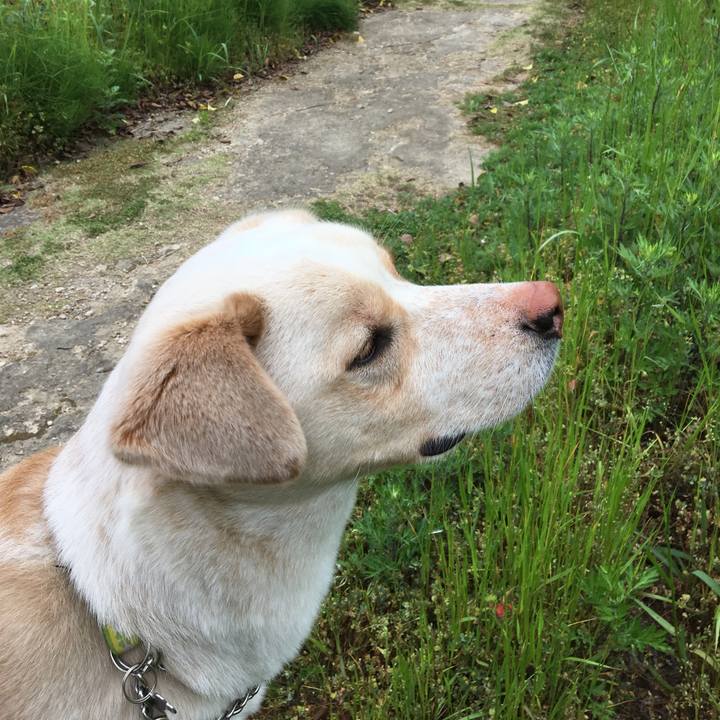 402e3906 da24 4ab3 ac96 8cc6c021d86c