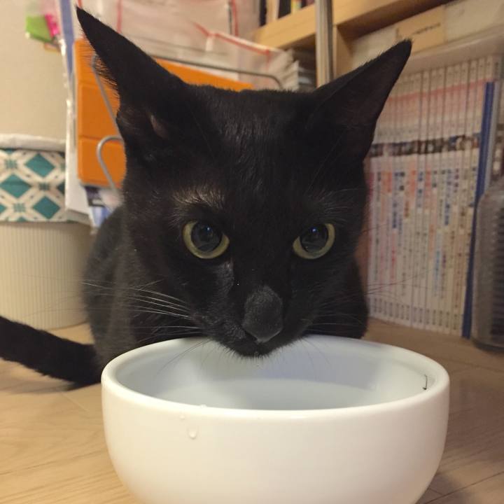 402ea225 6aaf 4343 a09d d4848e810396