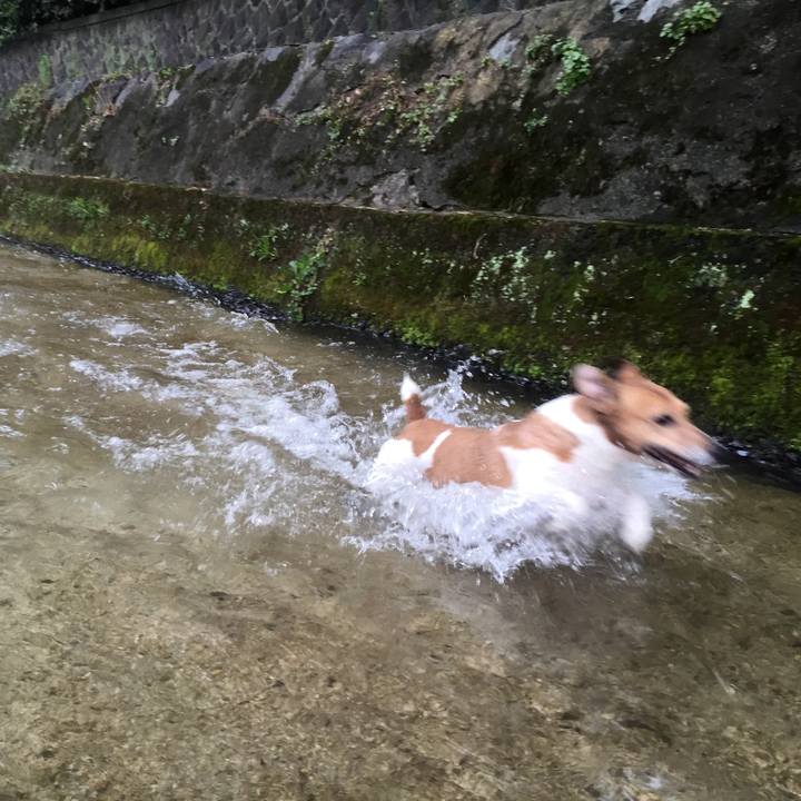 402ef30c 3d1a 4544 b28e 6987a764e187