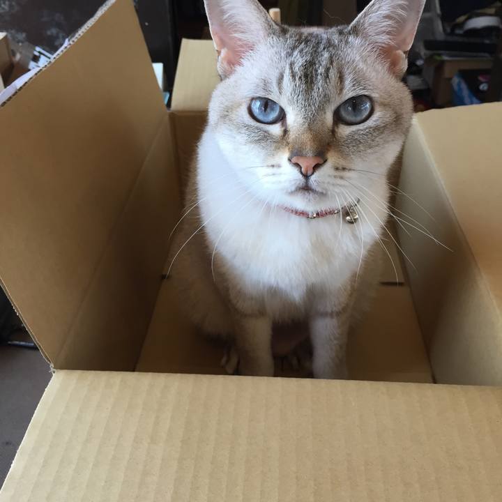 402efbf8 ebe4 4535 8802 dd99e6b54edd