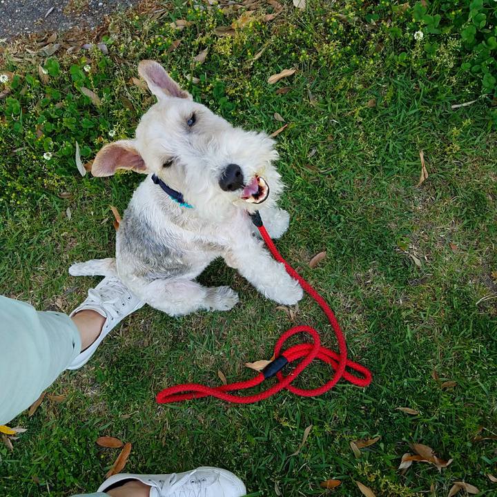 402f5eb7 f54b 4a80 b0c6 acd727276c81