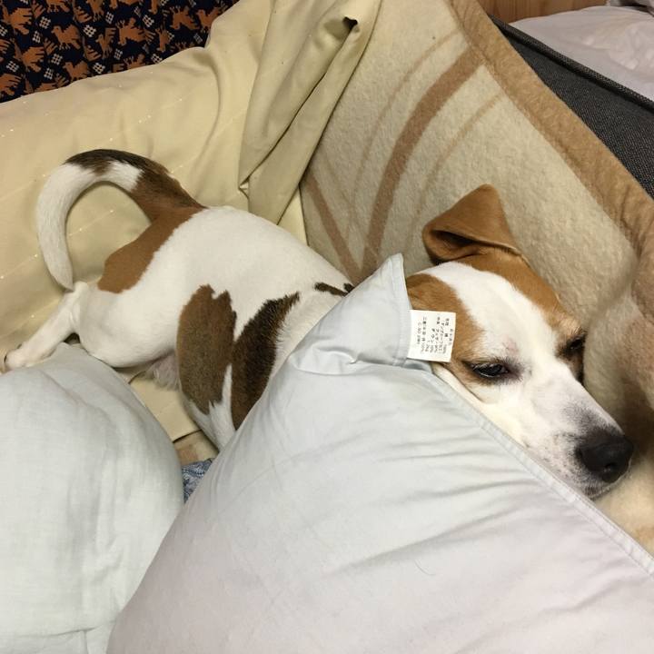 403056a2 0ddf 4997 8919 62035dad3bb3