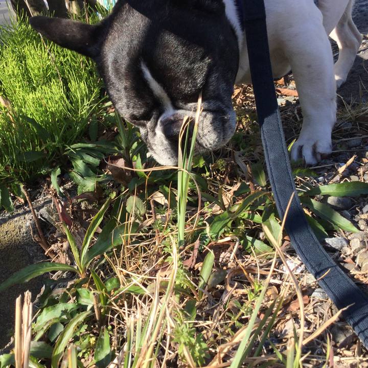 40305ba7 3597 4c13 a91c ec66cbba8323