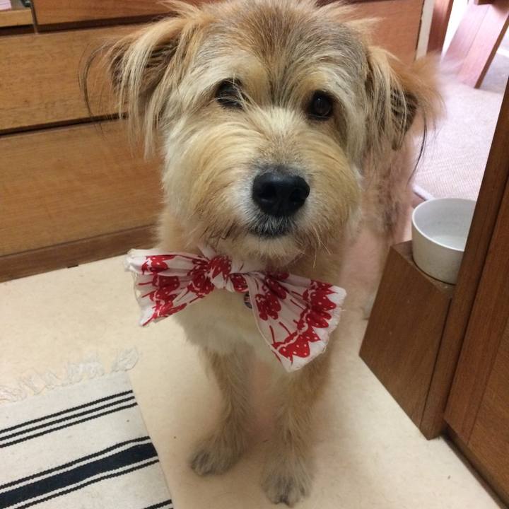 40308e3e b0b6 4335 ab13 102b91ed212e