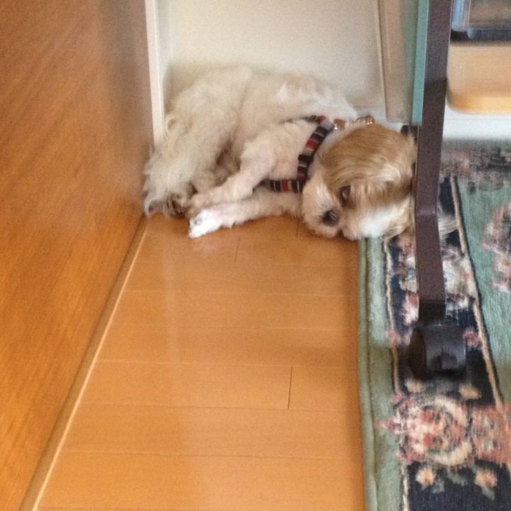 4030e1a5 7574 44f6 9916 8d4fa5ca1dbe