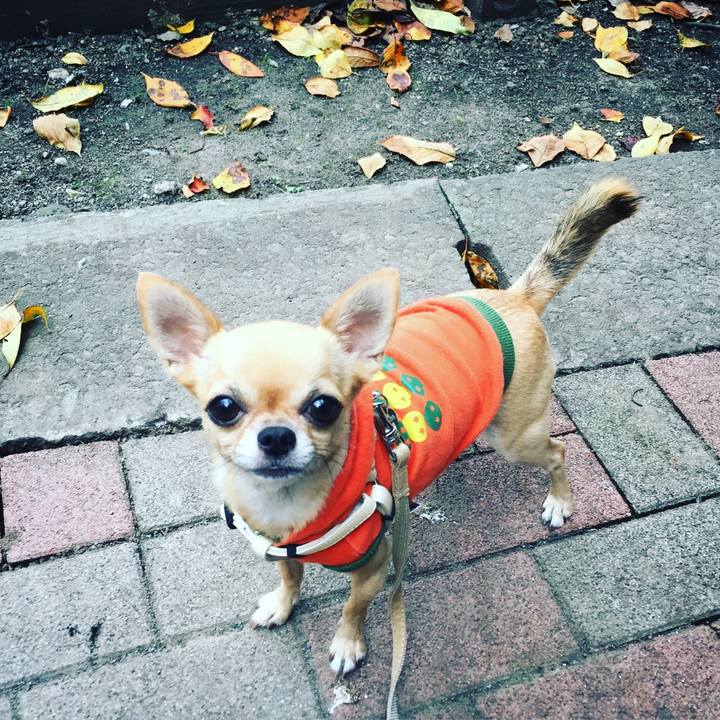 40312dfb 1bf1 42c9 8947 abaa183c19c8