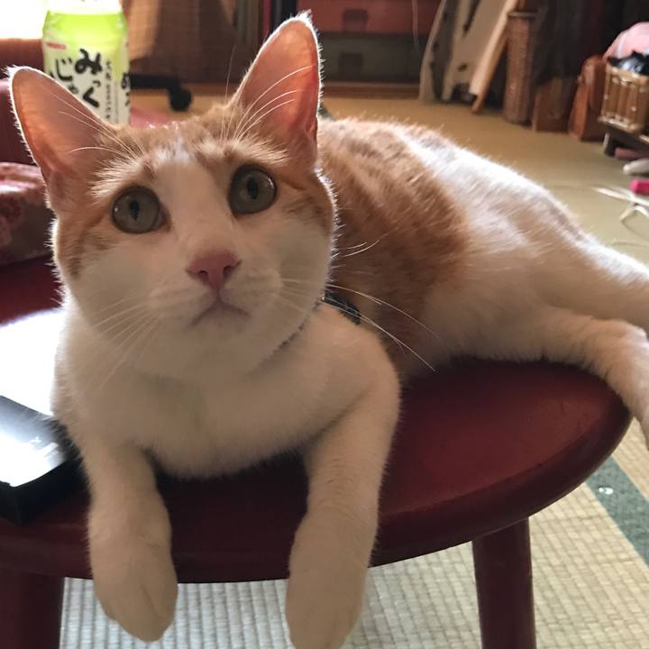 40316557 0e5c 4eda 9667 9c5f31c4793d