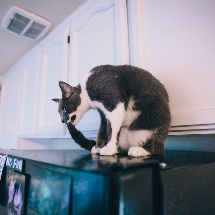 4031a3d4 2849 4a35 bbbc 51a97a58b992