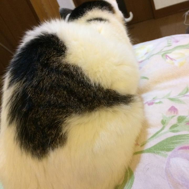 4031efc5 a288 4d09 8b5b 1ba2f8a91e1f