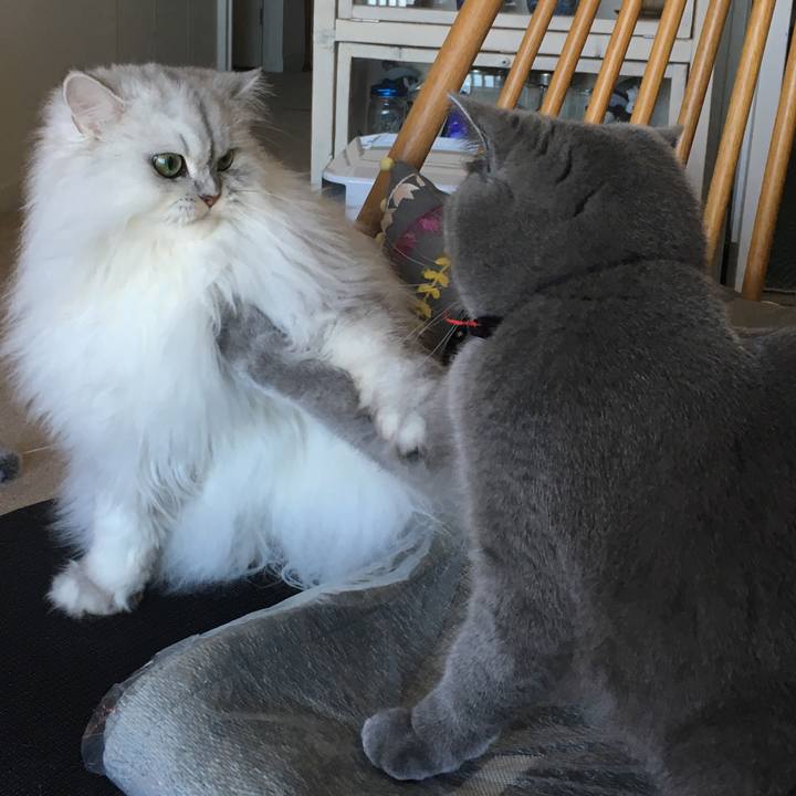 4031f922 158e 4b10 a940 110968d53b03