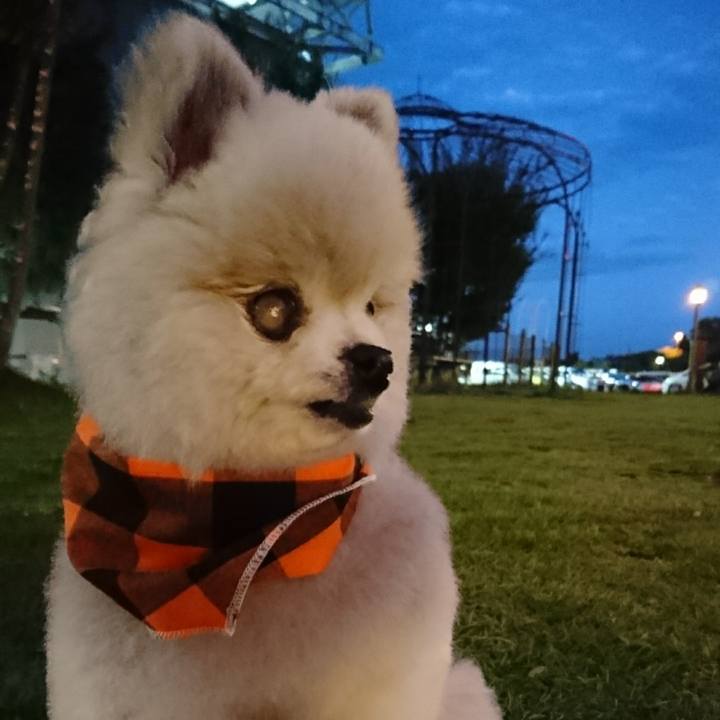 40335b8f 695f 414b afcc 2e7283a9b6ff