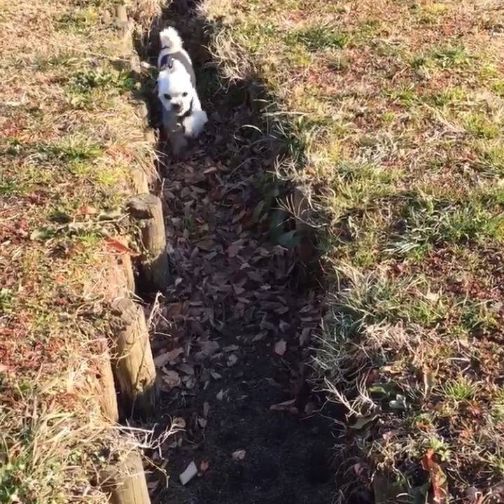 4033f9c3 ee80 4943 bba4 56116b643eb4