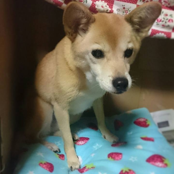 40343d83 f7f6 4898 9085 67656d1af745