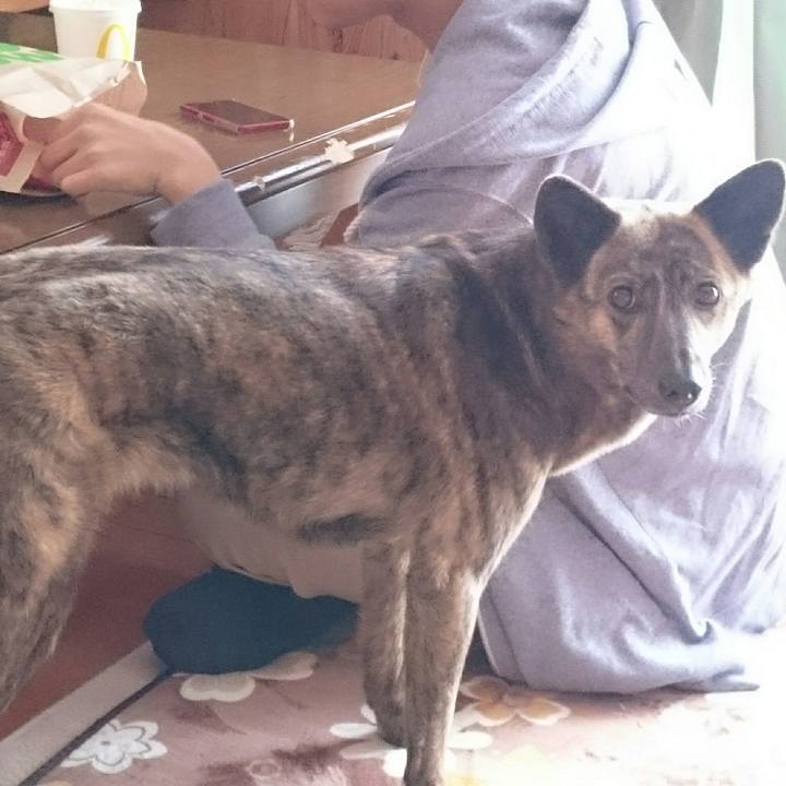 4034f8c1 d300 4825 8fbc 7ea01bf7c000