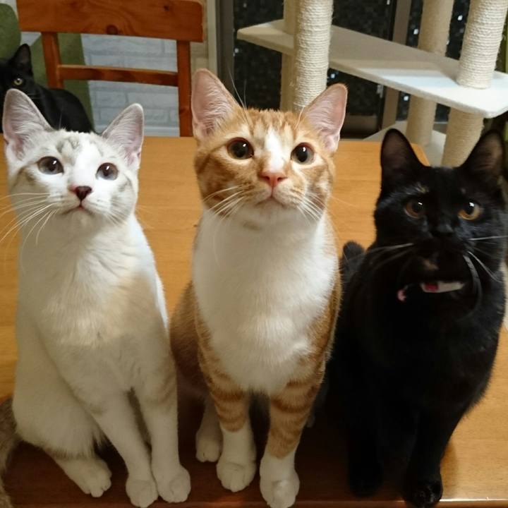 403533f5 9a4a 48b1 a3fc 22bef4ad2f9b