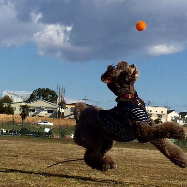 403534d5 3754 46b3 a280 e2f241ad60a6