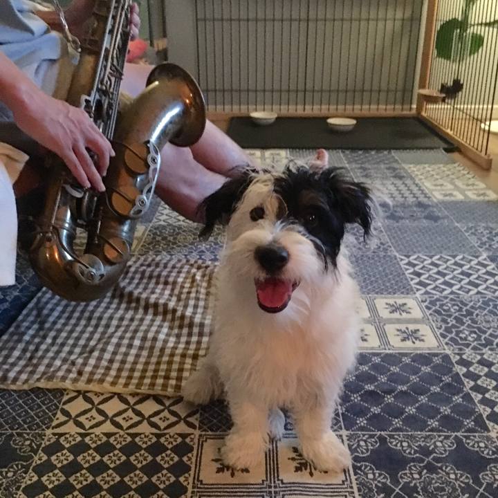 4035a0de 9036 423d a59b d47e4fbfeab0