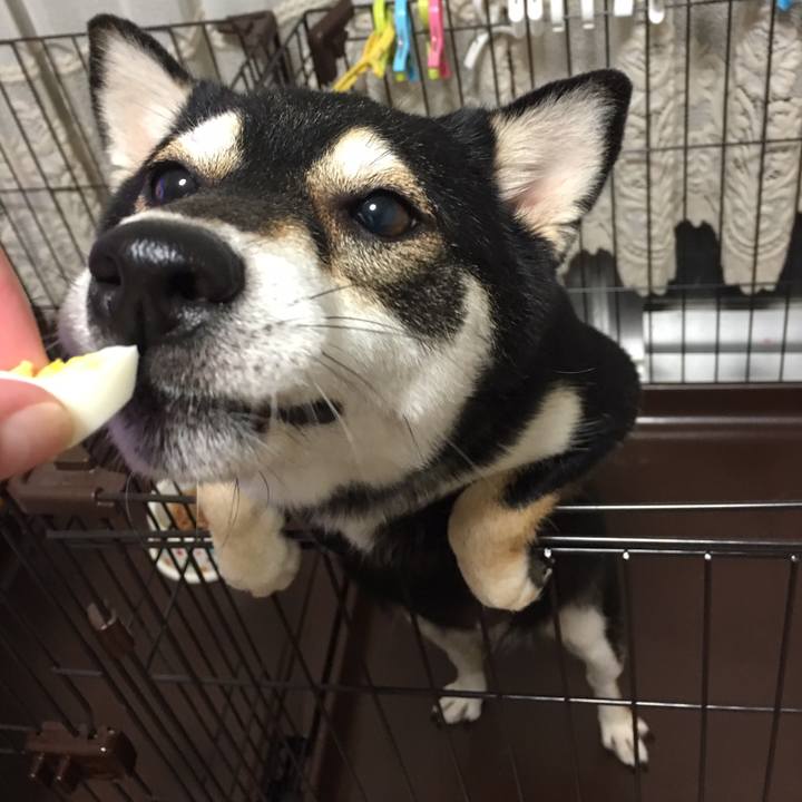 403658d6 24b1 4b9e 8045 f3d2079de16b