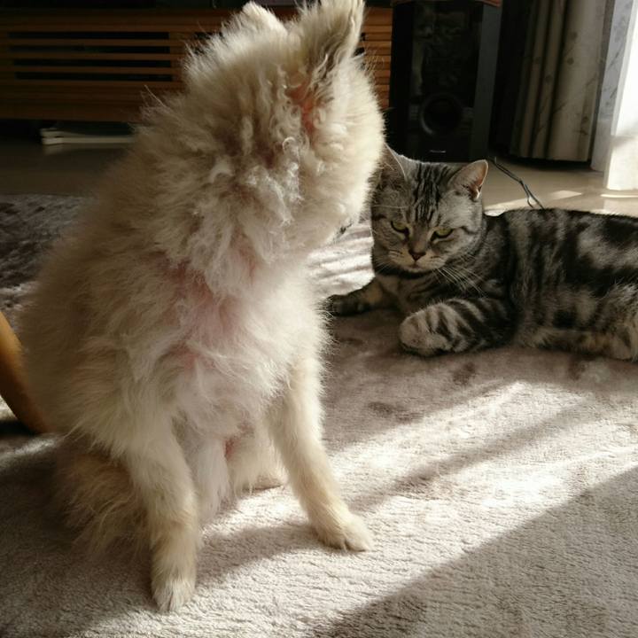 4036b800 8497 4052 9ee3 b80ebccd2afe