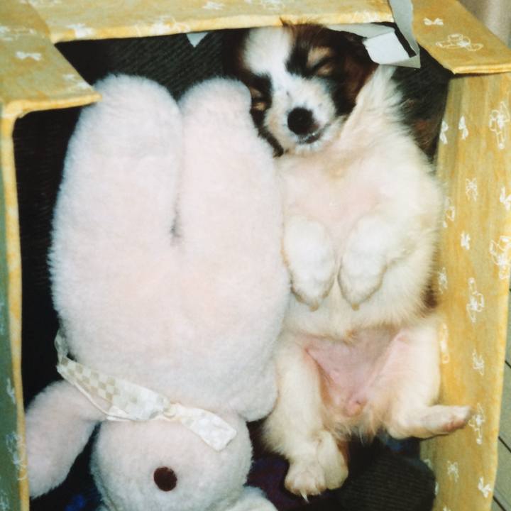 40376430 1d57 4698 a8ab 83b38aec74ac