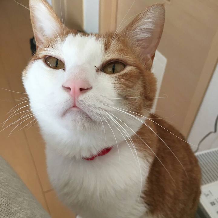 4037b961 fd52 4eec abe0 e8912dc7b2d7