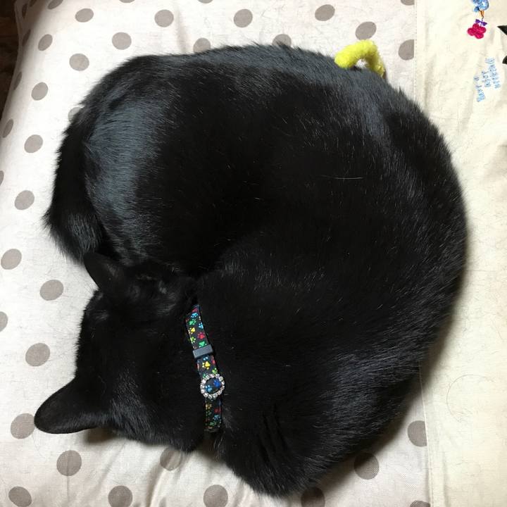 4037d91d ccd6 474d 9451 225c34abc1a3