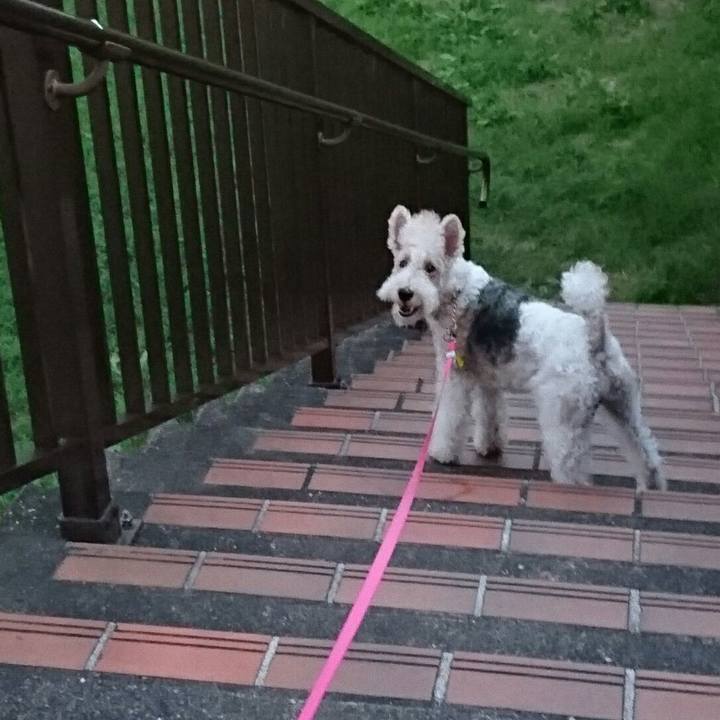 40387d34 7324 4f0e 96ef 2336778fdd61