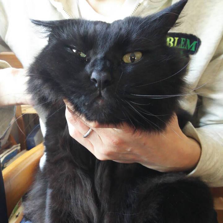 40388a37 38c2 40a7 ad5f 7f4115b984b5