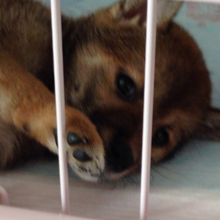 4038aca1 7ce0 4275 9186 e0a8deddea93