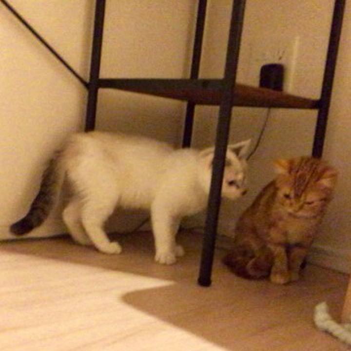 403a7215 8b80 4866 b057 7a9fa15865f5