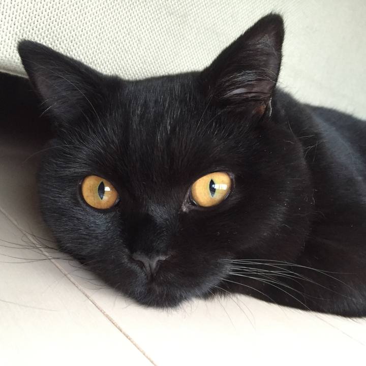 403b2e7e 45eb 4311 b6de 400cae47d83d