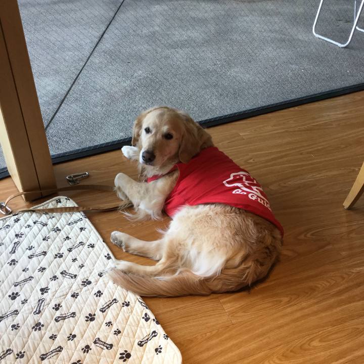 403b6a4a 0d18 4eee a53e 42d2ec504214