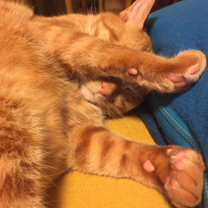 403bc0ed da3d 43fe a178 fe3a93cd46f4