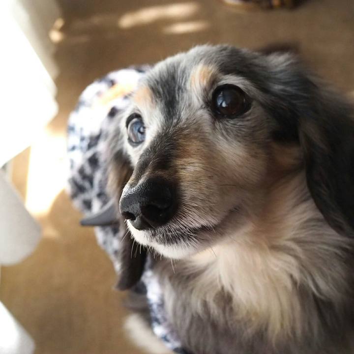 403bc376 fe62 41ff af32 4adc1bf4cb89