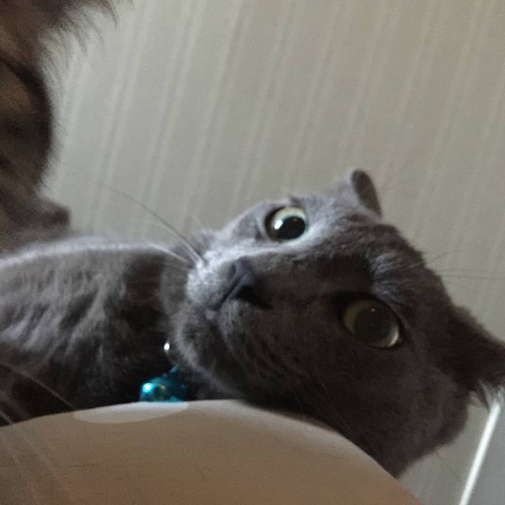 403cb128 1ab2 4570 b18e 10f40f91c735