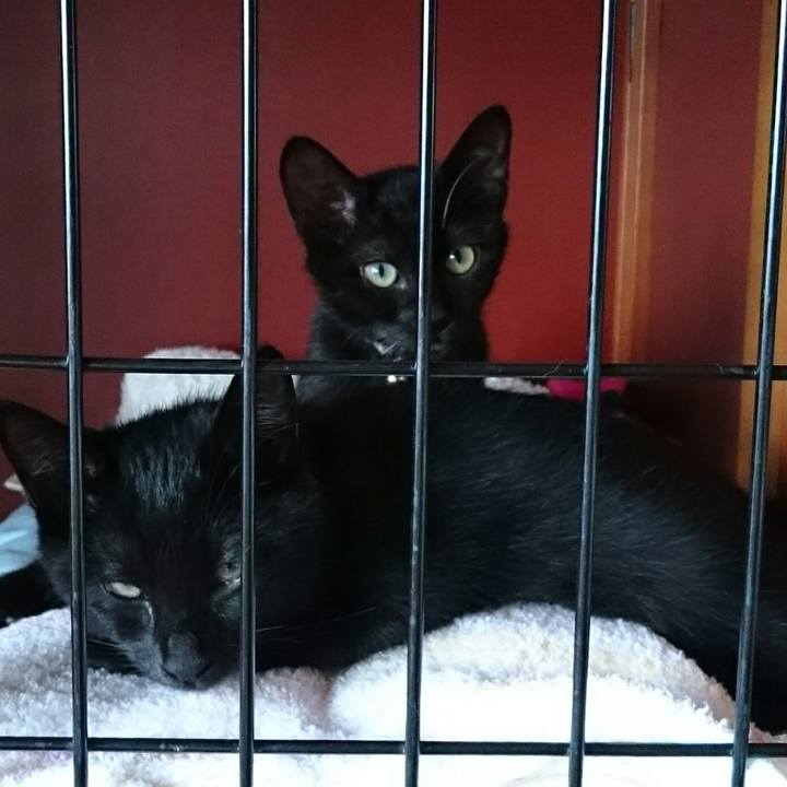 403cc27c 3539 42cf 83da 8059502c1a0d