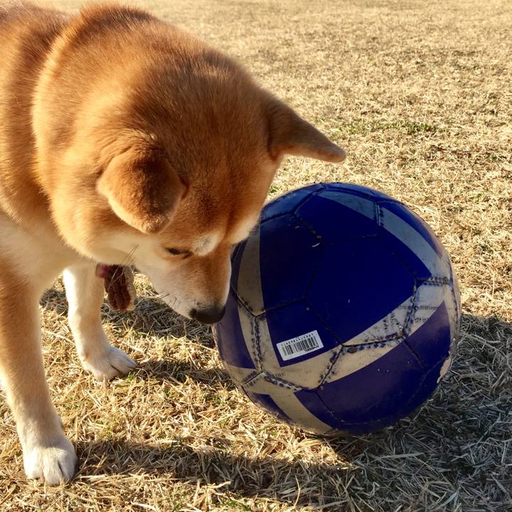 403d67b5 a239 49de bf1f 8afcb2ebc80b